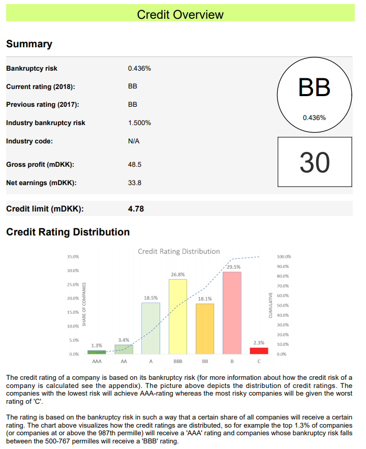 Credit risk report example